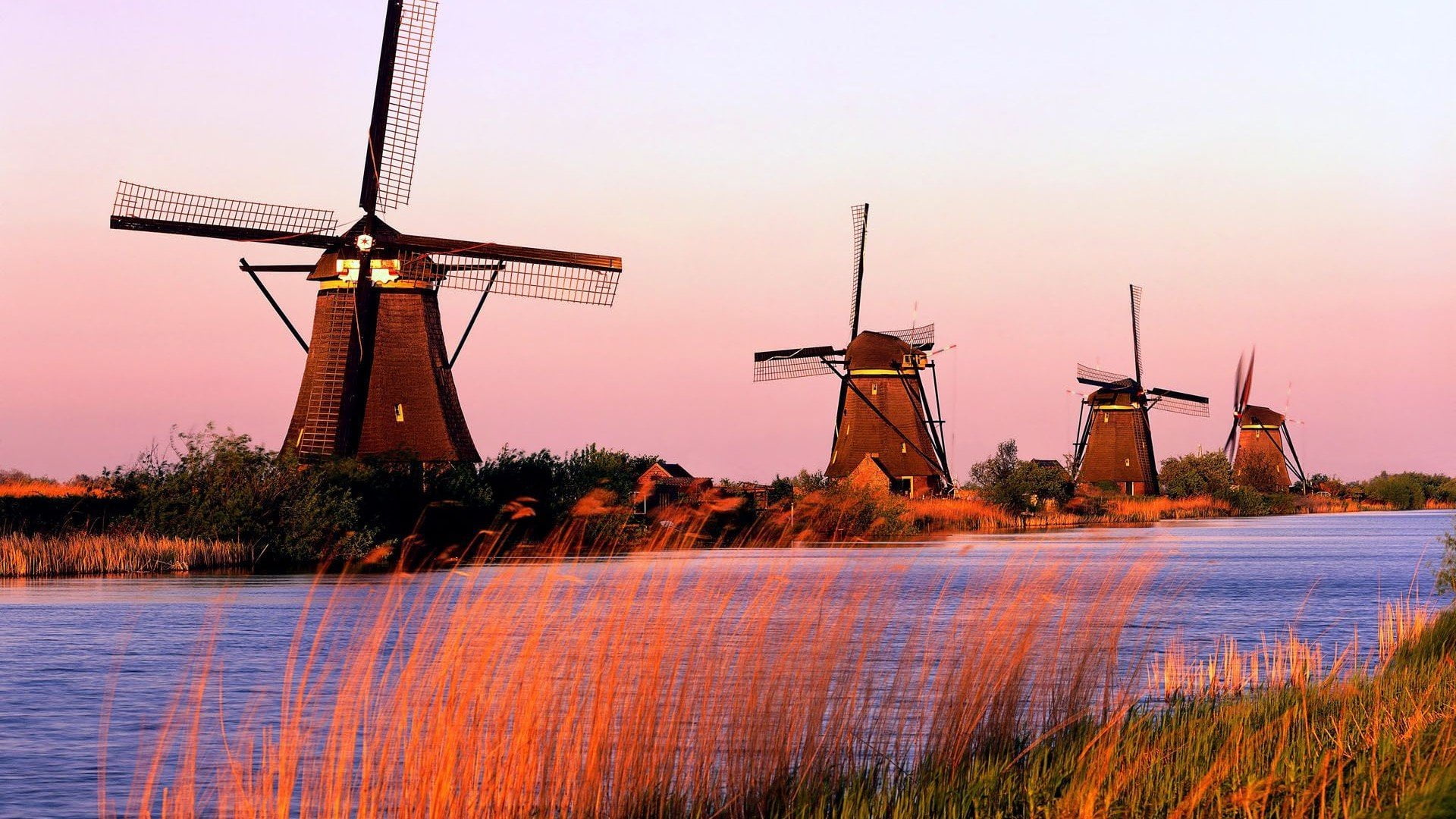 holland landscape