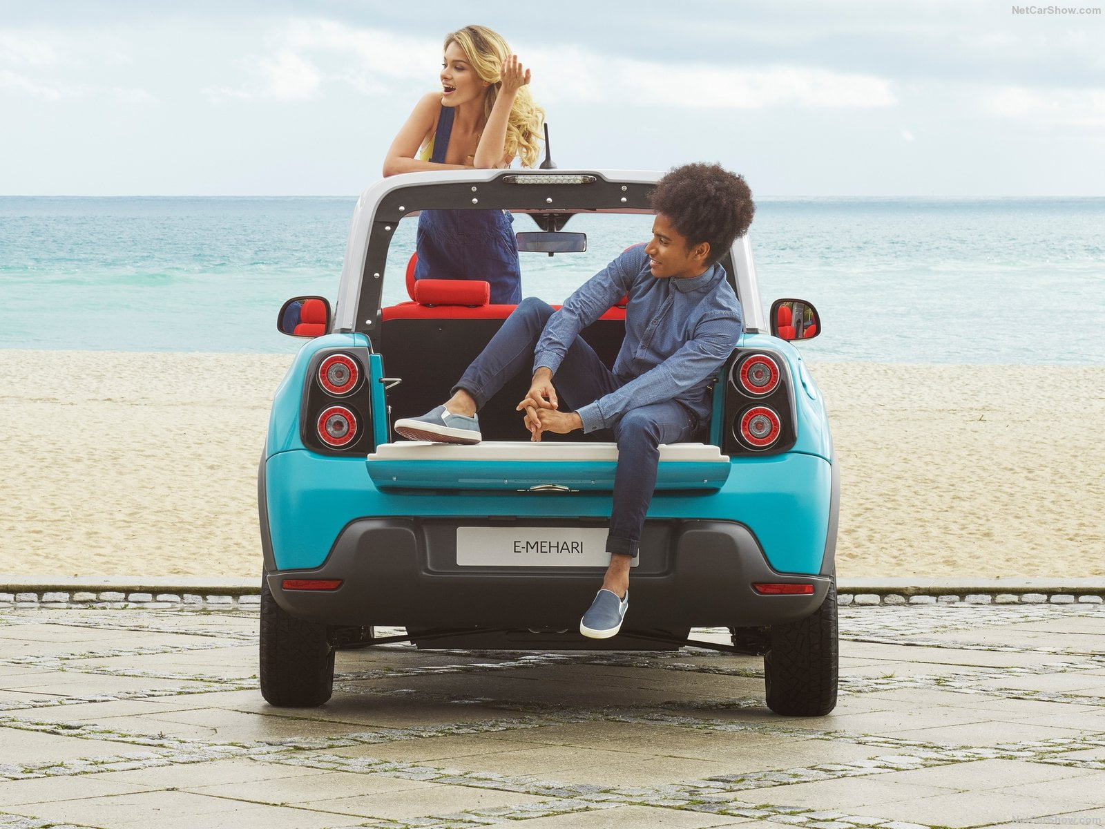 Martinique vehicles sector