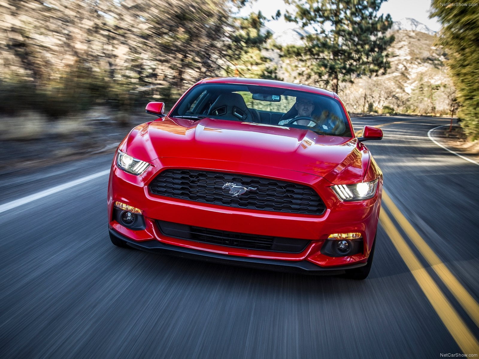 World Best Selling Coupe