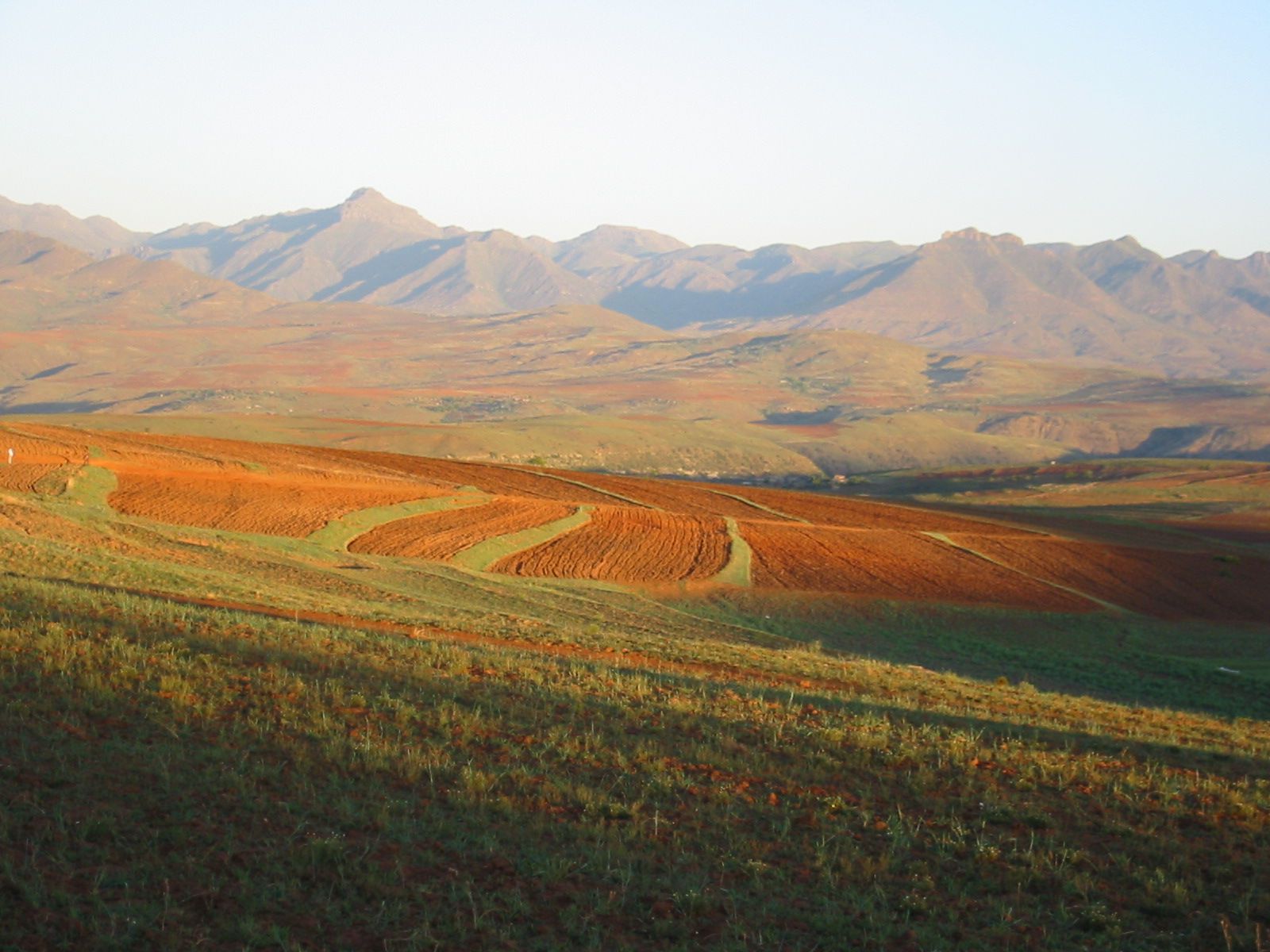 lesotho vehicles market